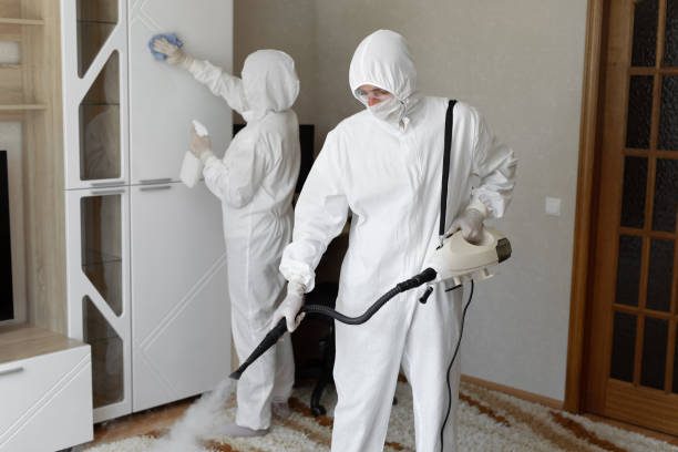 Best Mold Removal Process  in Fox Chase, PA