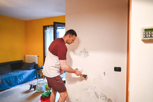 Mold Removal and Inspection in Fox Chase, PA